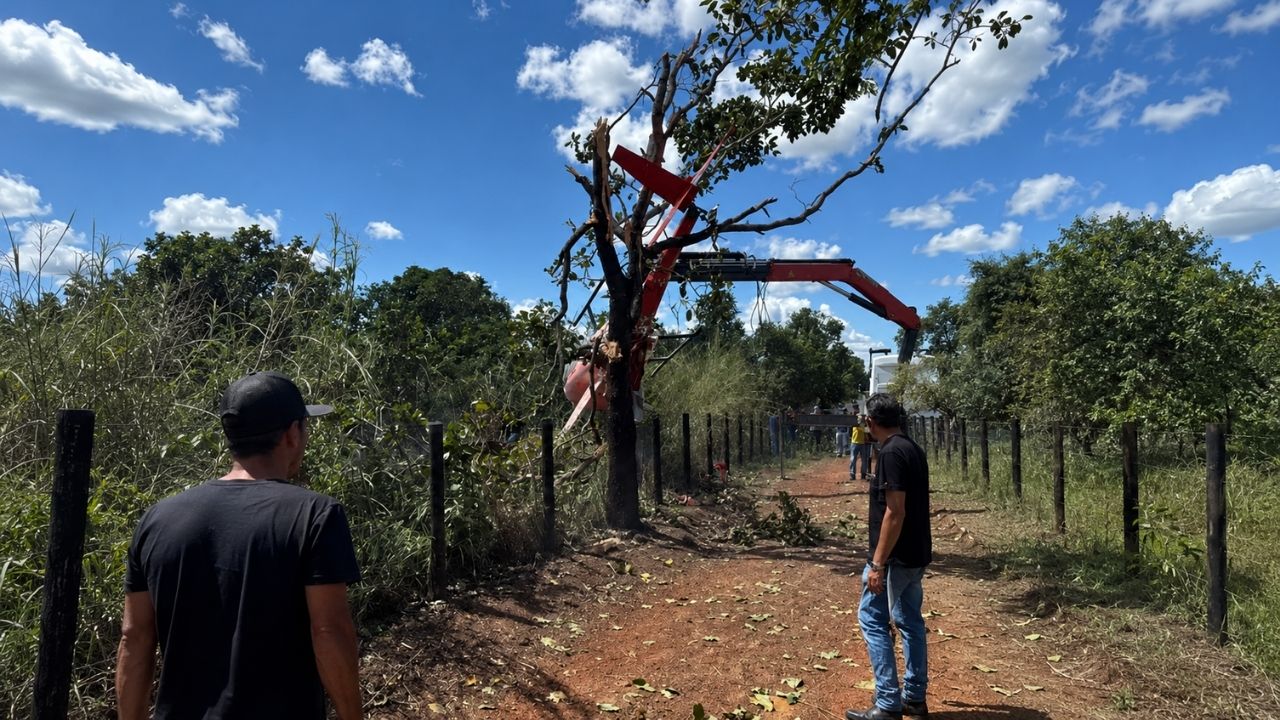 Helicóptero de Henrique e Juliano cai em fazenda no Tocantins, fica pendurado em árvore e leva a família da dupla a tranquilizar fãs após pouso de emergência (1)