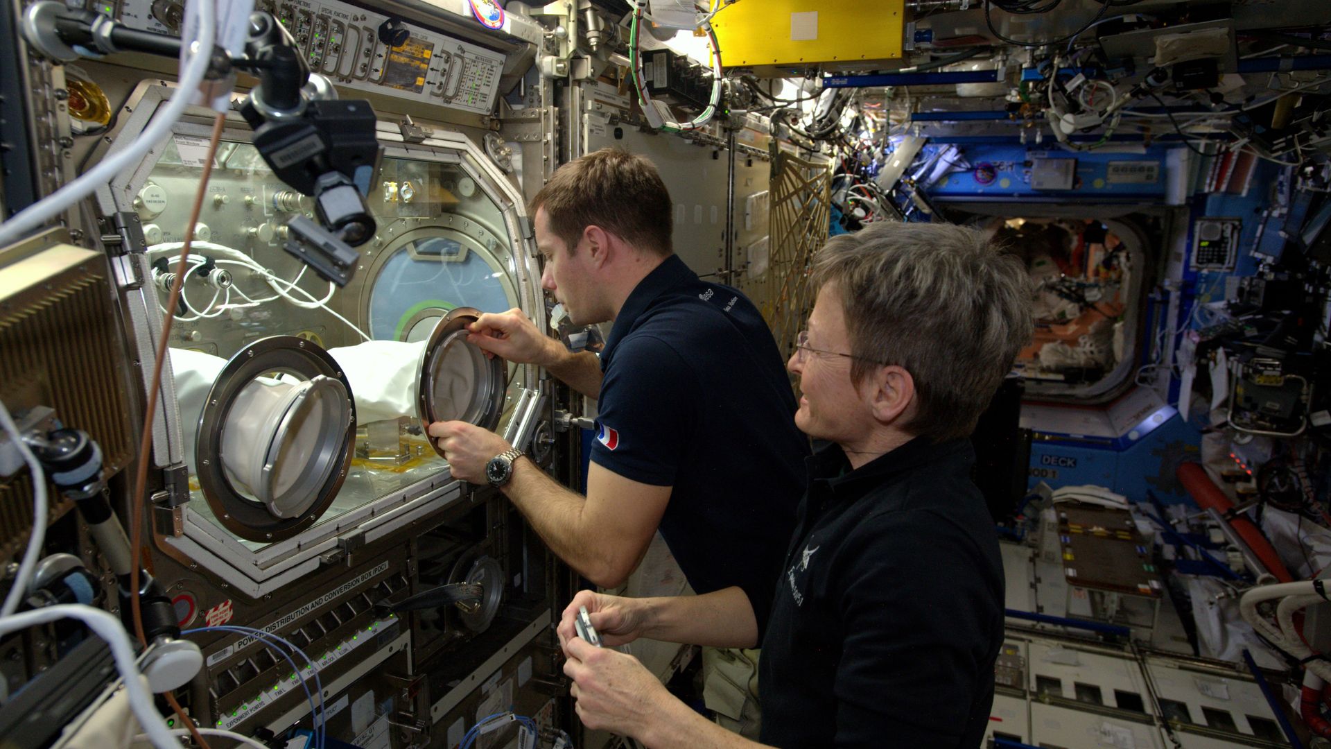 Astronautas voltam da microgravidade sem ajustar força das mãos e erram ao segurar objetos, revela estudo sobre adaptação do cérebro.