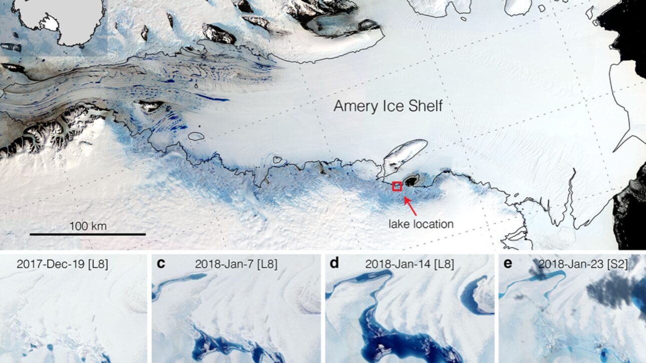 Poças azuis de água de degelo se acumulam na plataforma Amery, sinal do derretimento superficial na Antártida. (Imagem: NASA/USGS)