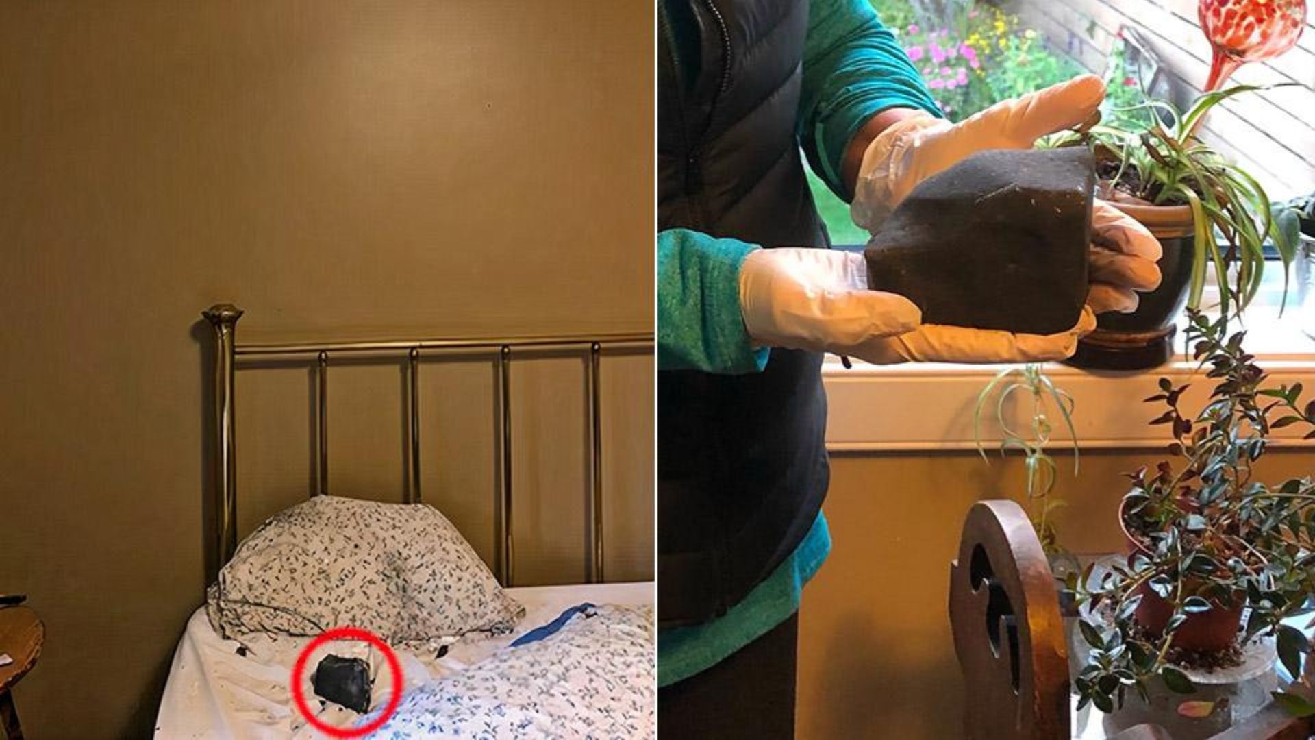 Meteorito que caiu em casa no Canadá tem origem rastreada por cientistas até cinturão de asteroides, após análise detalhada da trajetória.