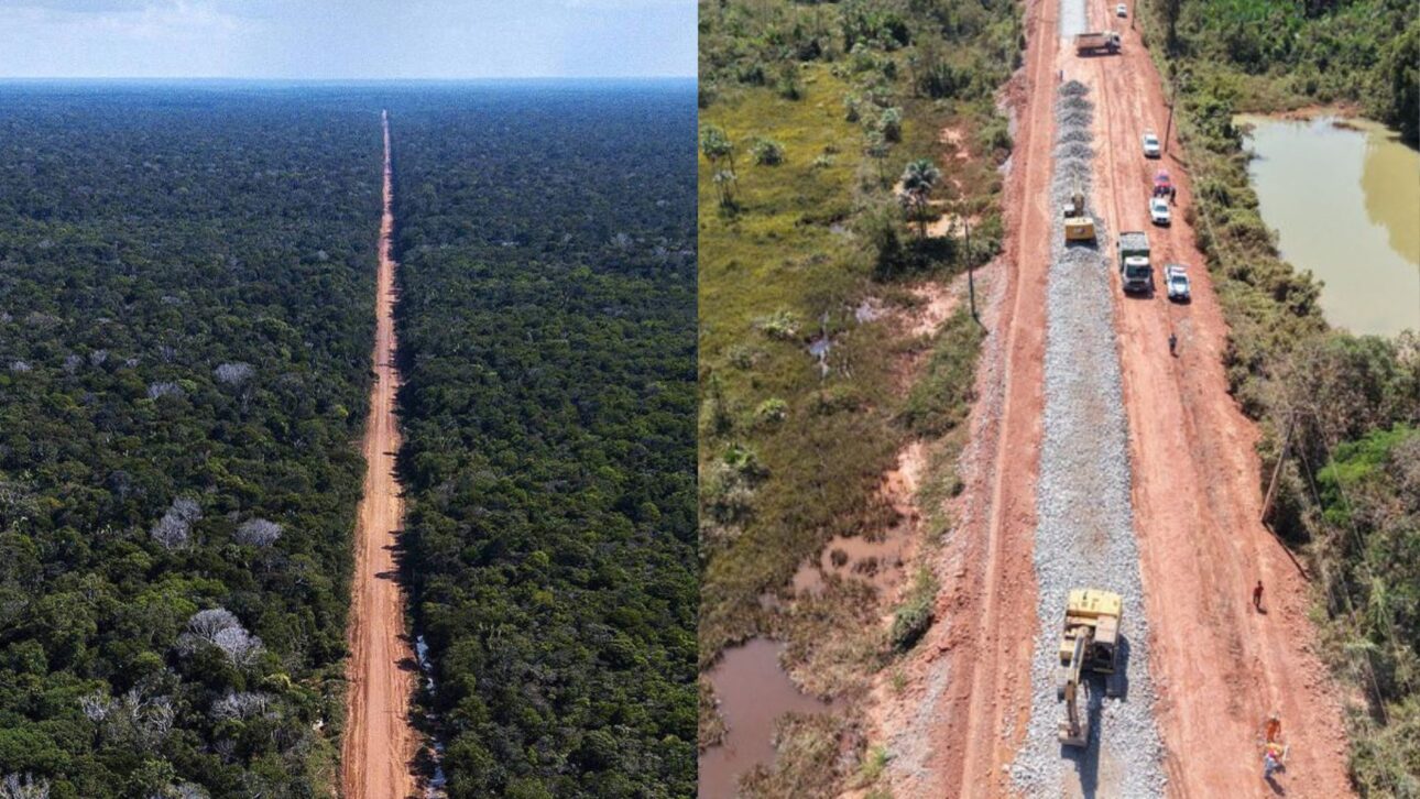 BR-319 terá obra de R$ 1,5 bilhão com passagens de fauna, novas reservas e controle ambiental no coração da Amazônia em trecho estratégico.