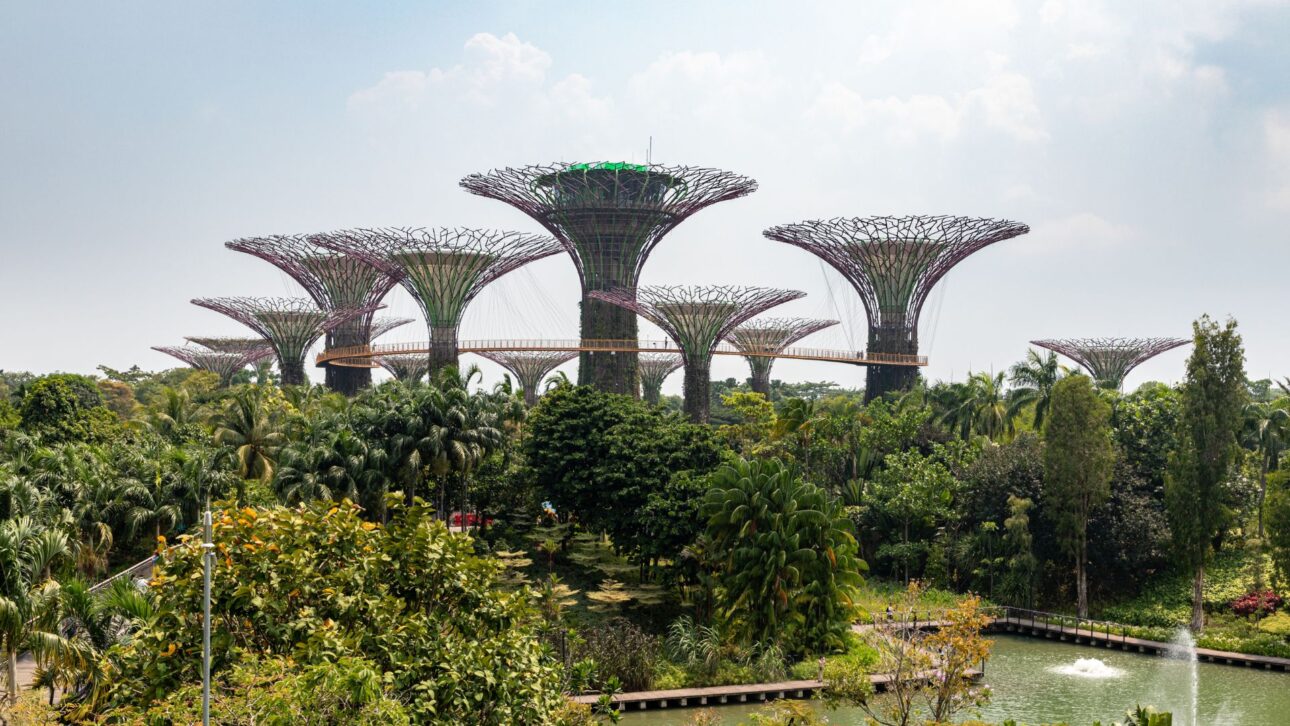 Conheça o megaprojeto de Singapura construído sobre o mar com superárvores, estufas gigantes e tecnologia sustentável.