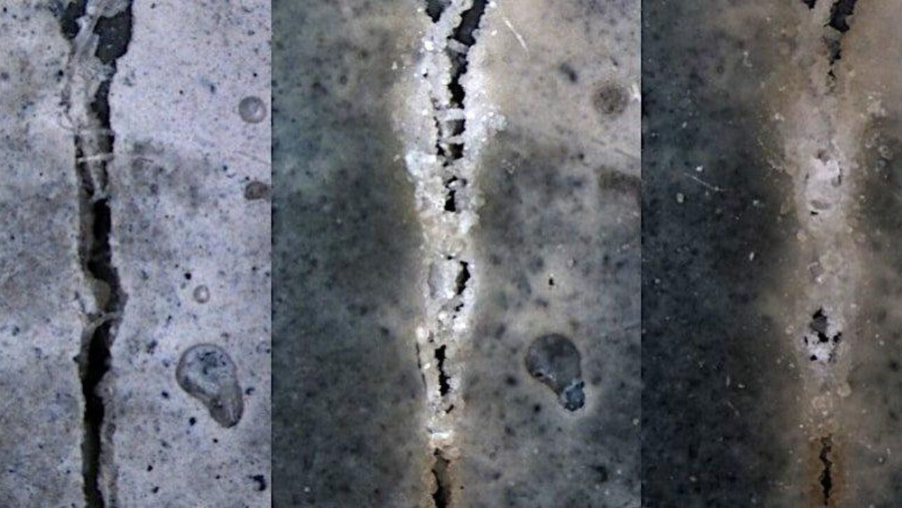 Concreto autorreparável mostra fissura selada por carbonato de cálcio, processo estudado no bioconcreto. (Imagem: Trust My Science)