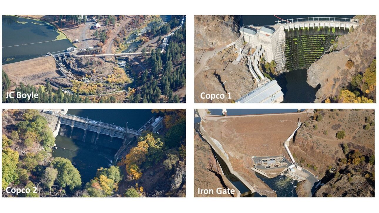 Pela primeira vez em mais de um século, o rio Klamath voltou a correr livre nos Estados Unidos após a demolição de quatro barragens hidrelétricas, e em poucas semanas o salmão já reapareceu em trechos que estavam bloqueados desde 1918, no maior projeto de restauração fluvial da história americana