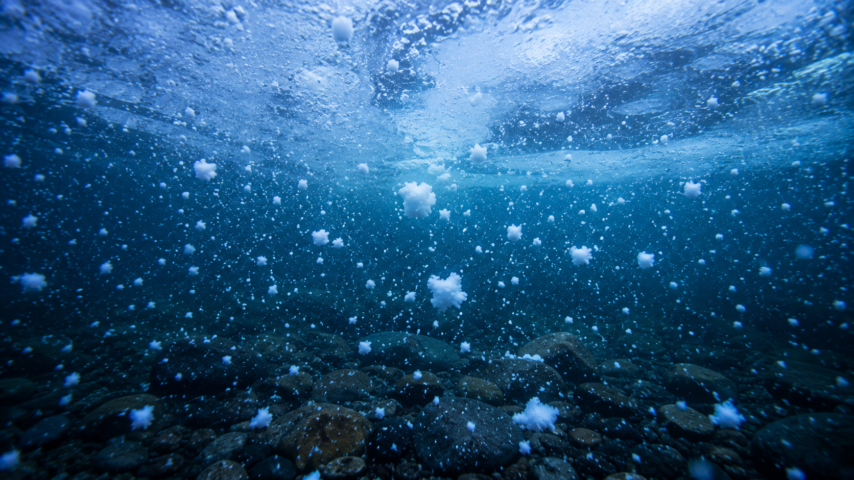 Milhões de toneladas de “chuva invisível” caem todos os dias das águas iluminadas para o fundo do oceano, alimentando criaturas abissais e aprisionando carbono por séculos em um mecanismo planetário que cientistas chamam de “neve marinha”