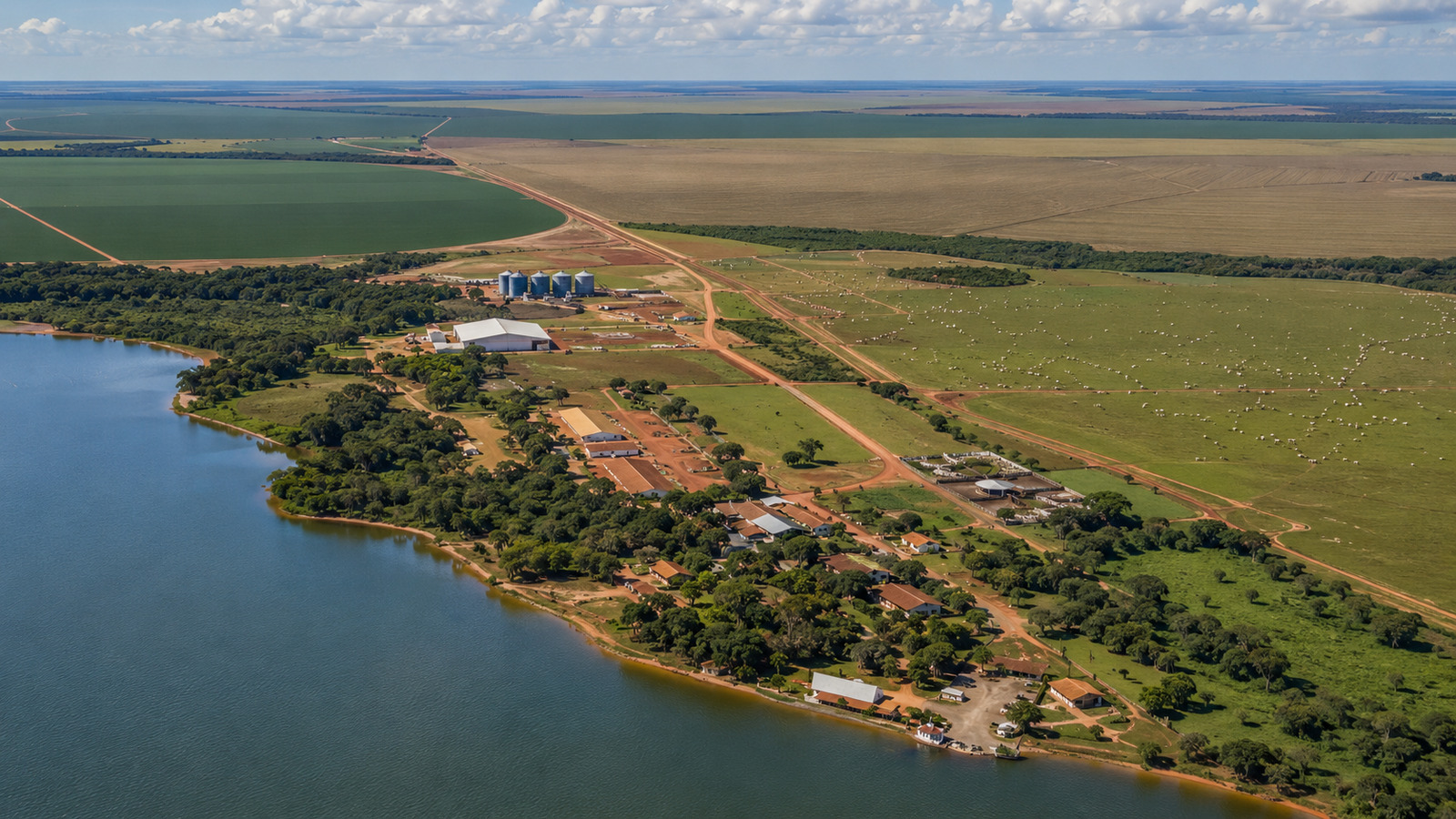 Fazenda Roncador impressiona pelas dimensões e produção para o exterior