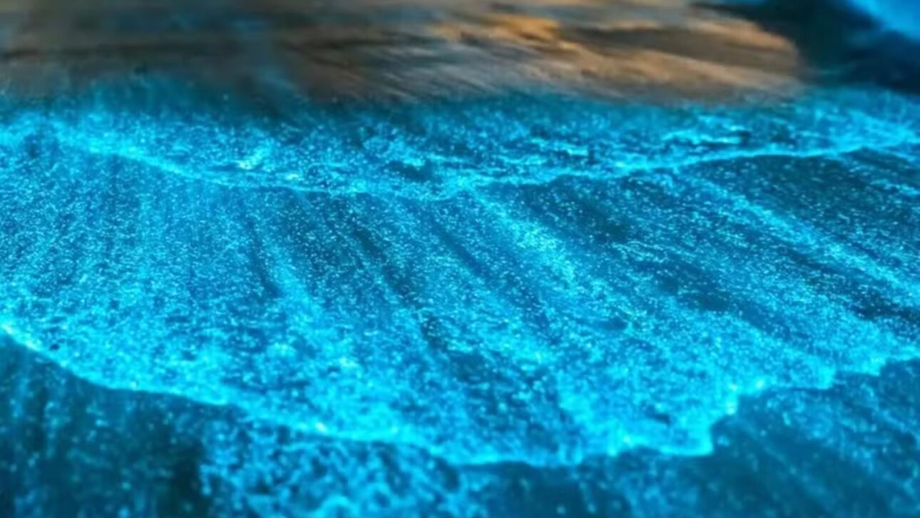 The Jacaroá Lagoon, in Maricá, became a liquid sky: the bioluminescence of the microalgae glows blue, and the city hall credits the phenomenon to the dredging of the channels.