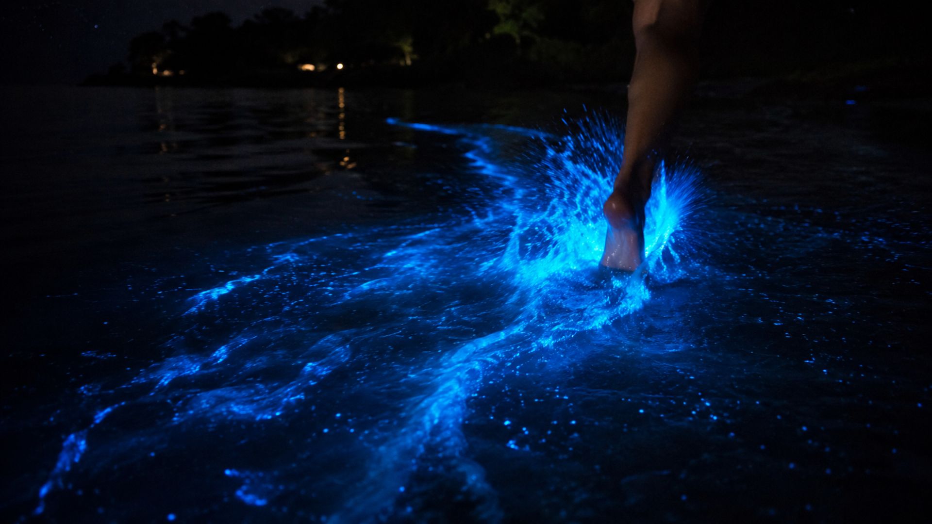 A Lagoa de Jacaroá, em Maricá, virou um céu líquido: a bioluminescência das microalgas brilha de azul, e a prefeitura credita o fenômeno à dragagem dos canais.