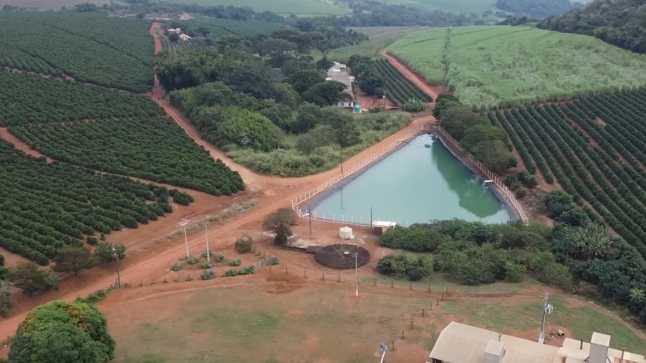 Fazenda familiar em Tambaú une café, energia solar, milho hidropônico e pecuária para aumentar renda em área menor.
