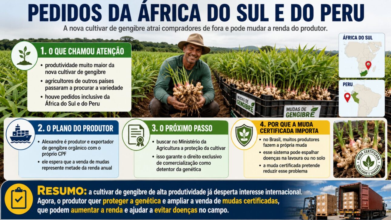 imagem ilustrativa/explicativa