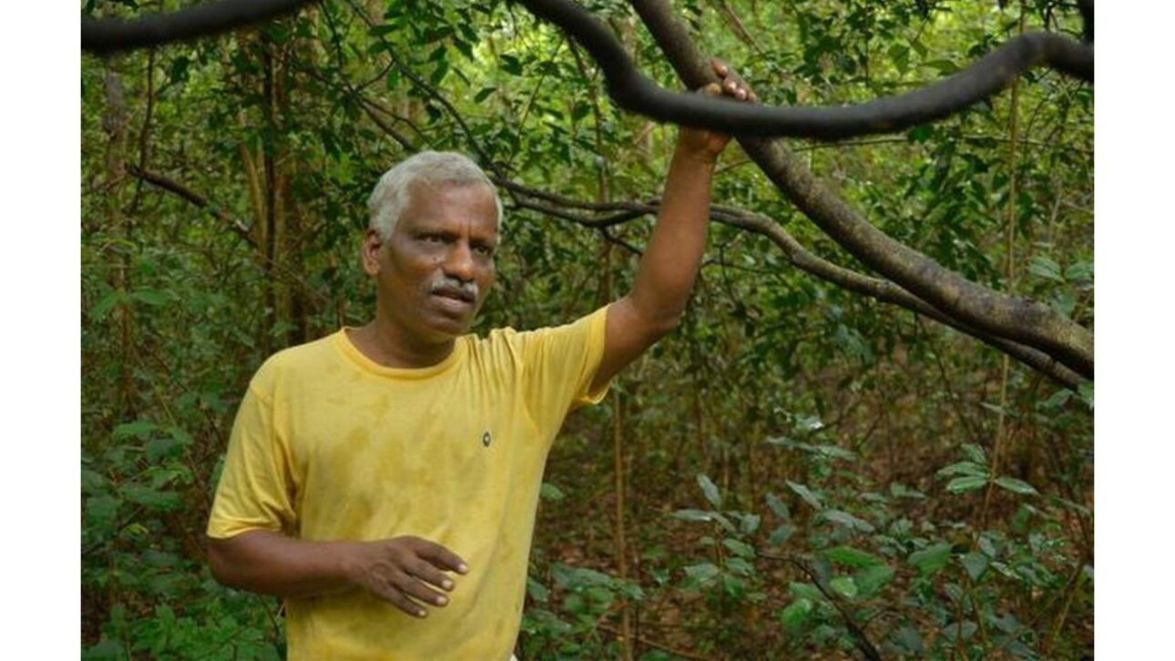 Na Índia, um agricultor transformou 40 hectares de terra árida numa floresta nativa com 35.000 a 40.000 de árvores e 900 espécies, um santuário de biodiversidade.