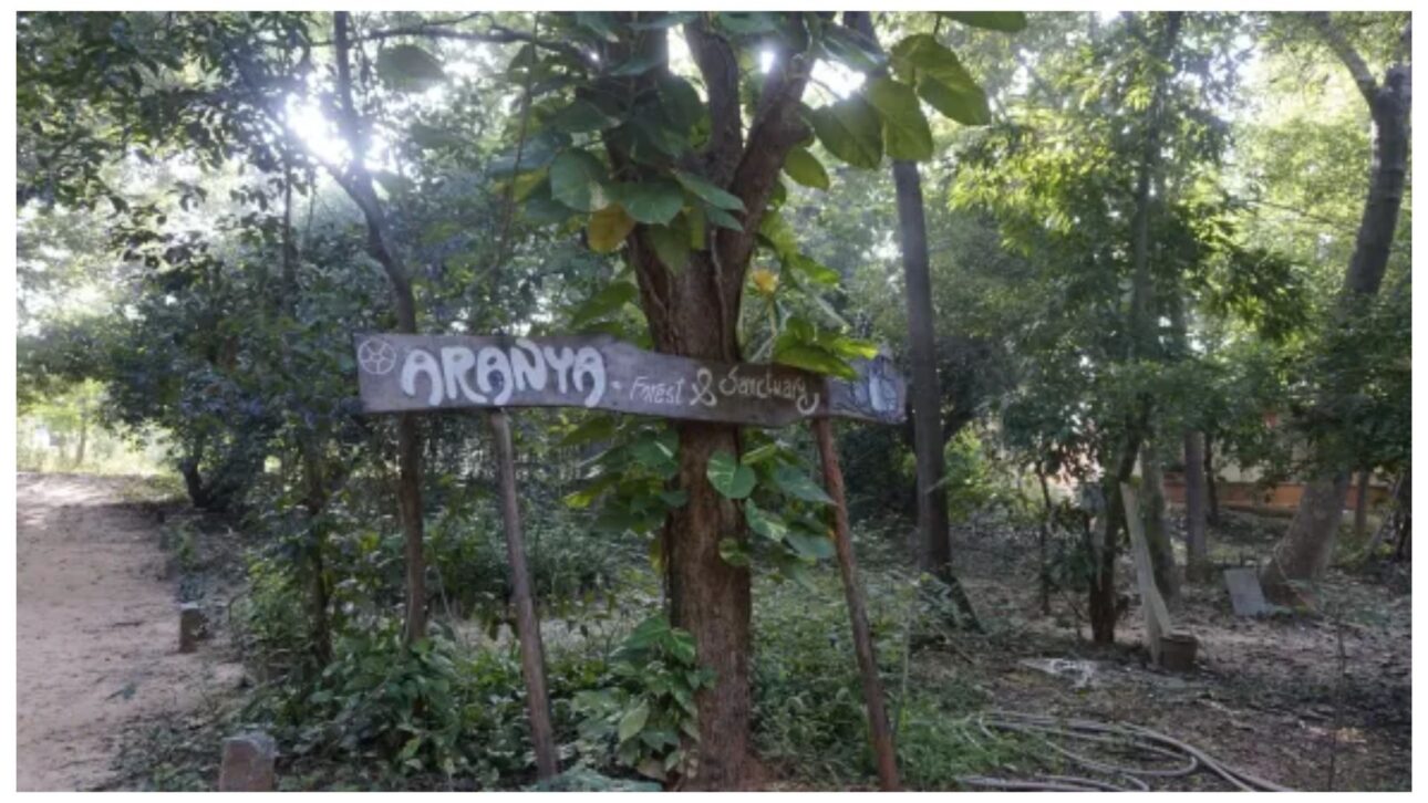 A entrada da Floresta e Santuário de Aranya