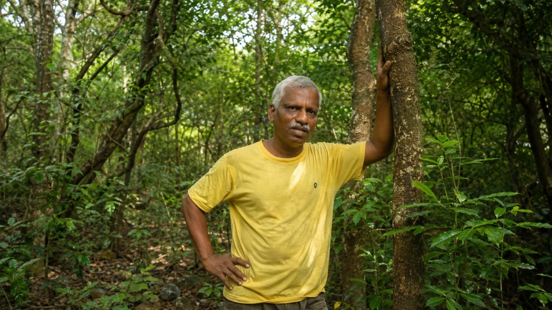Na Índia, um agricultor transformou 40 hectares de terra árida numa floresta nativa com 35.000 a 40.000 de árvores e 900 espécies, um santuário de biodiversidade.