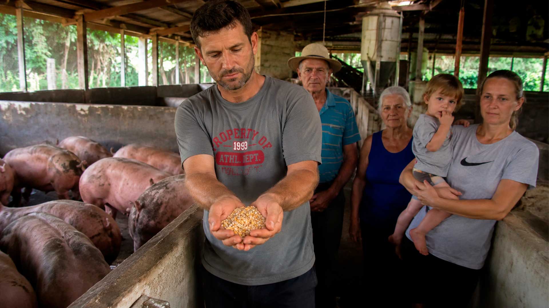 Seu José começou com 7 hectares herdados do pai em Dona Emma, comprou terras da família e de vizinhos ao longo dos anos e hoje passa dos 50 hectar…