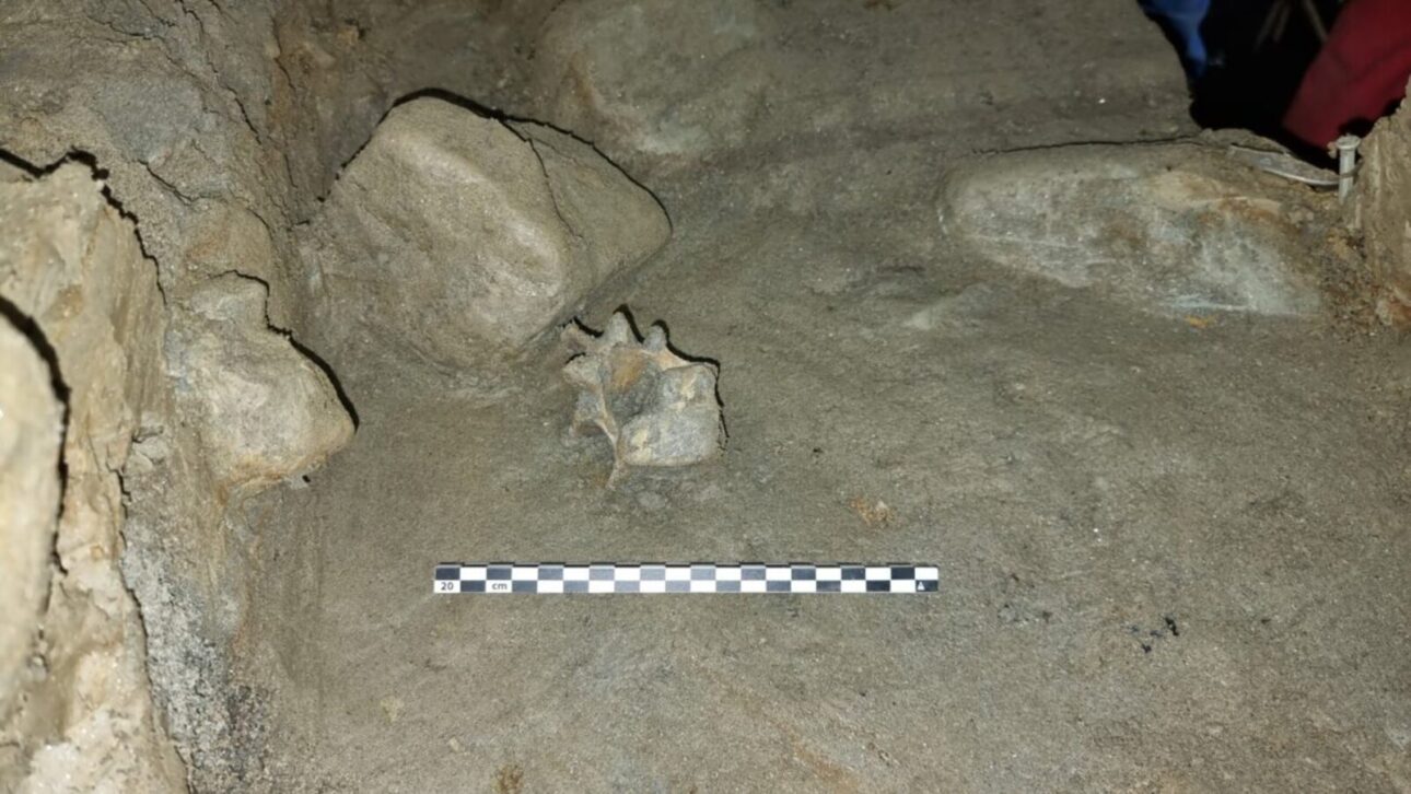 Cave in Norway reveals forgotten ancient Arctic world