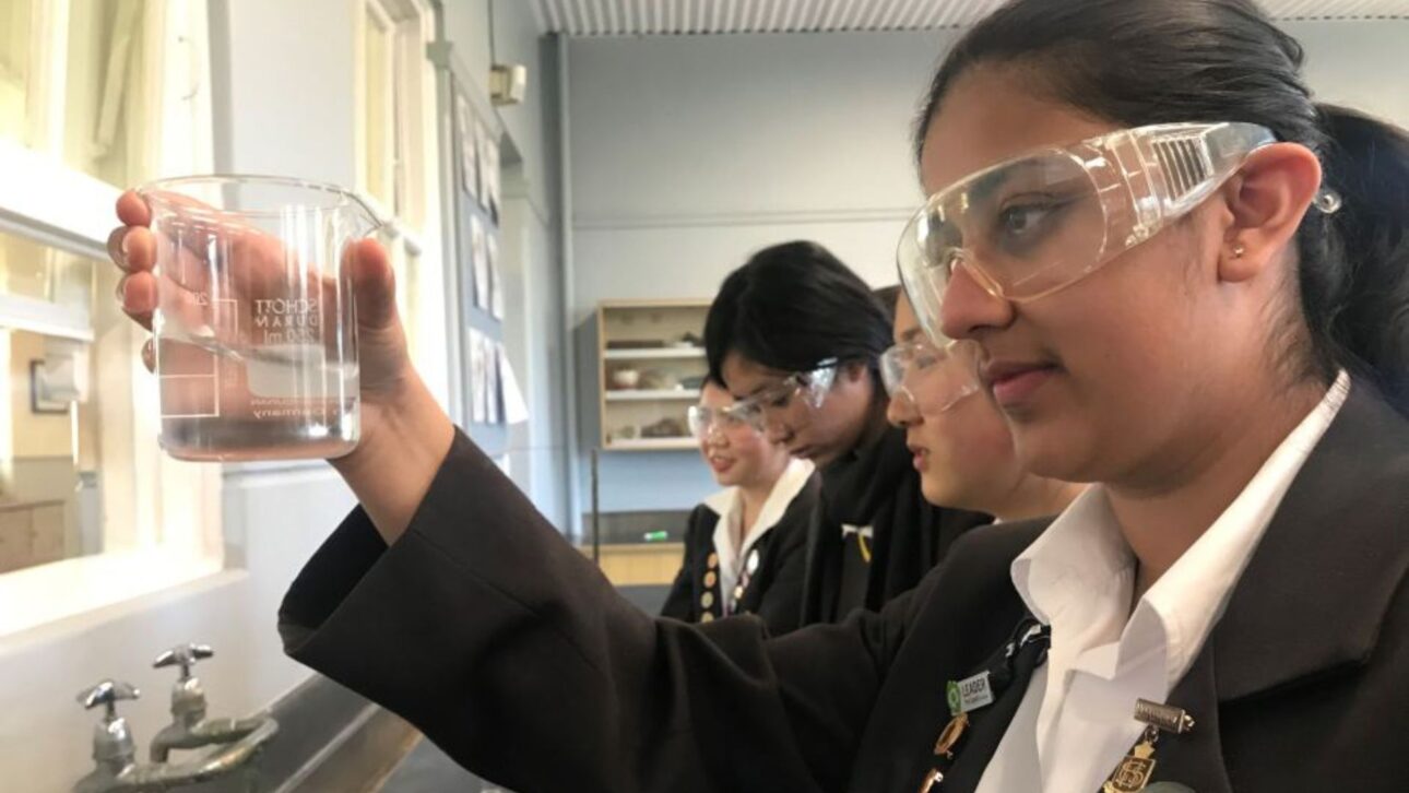 Australian student transforms shrimp shells into biodegradable plastic and creates a “seafood bag” that does not depend on petroleum
