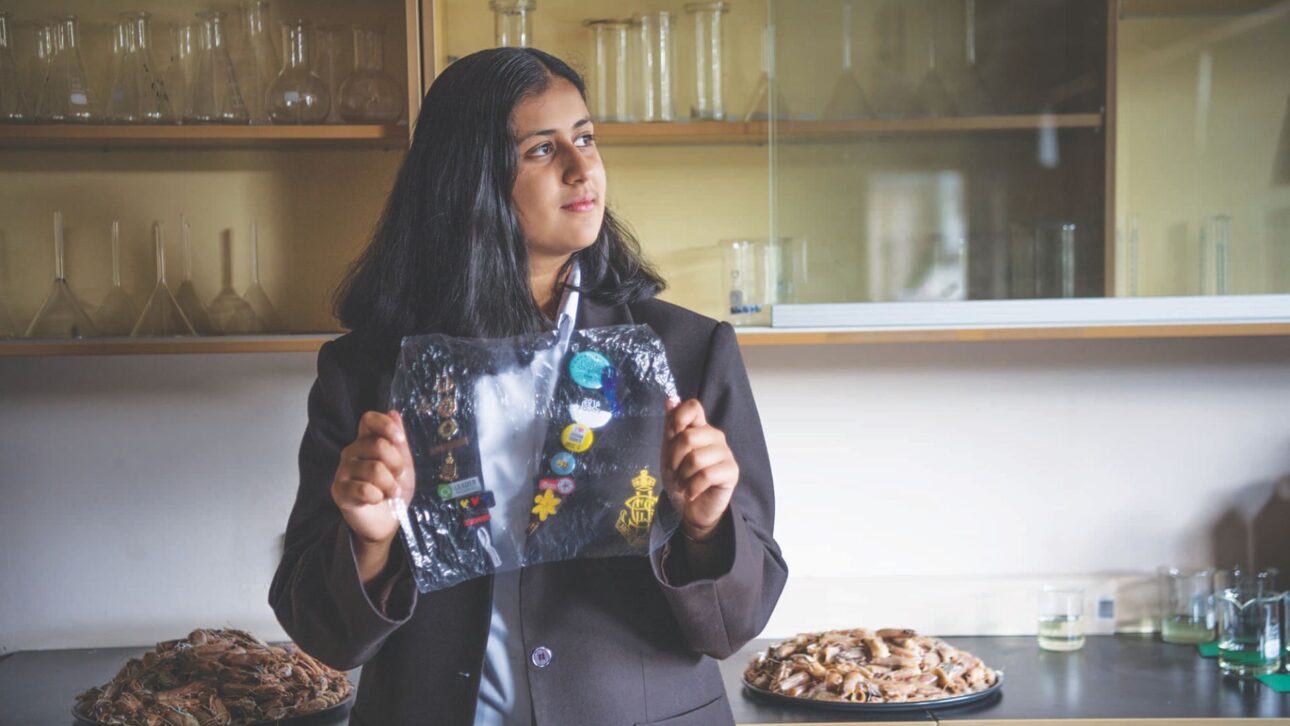 Australian student transforms shrimp shells into biodegradable plastic and creates a 'seafood bag' that doesn't rely on petroleum