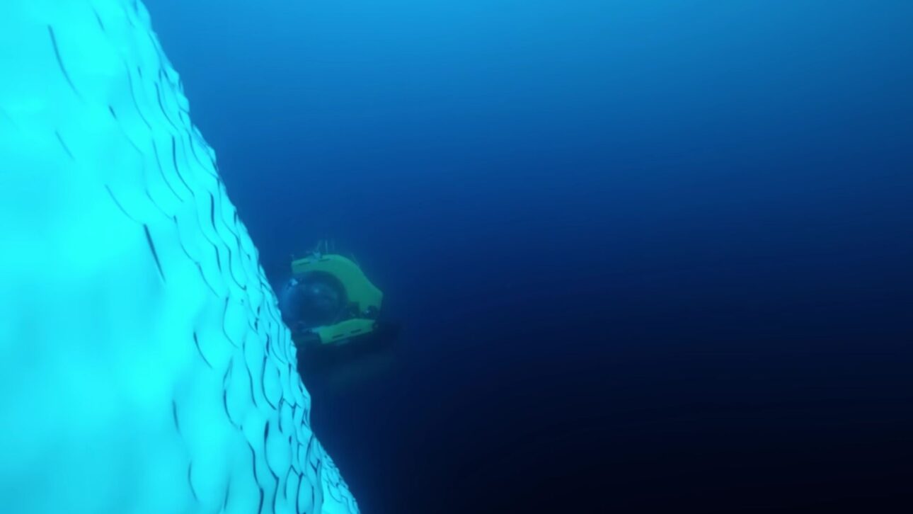 The first manned dive to a thousand meters in the Antarctic Ocean, for Blue Planet II, revealed a seabed full of life and surprising exotic creatures.