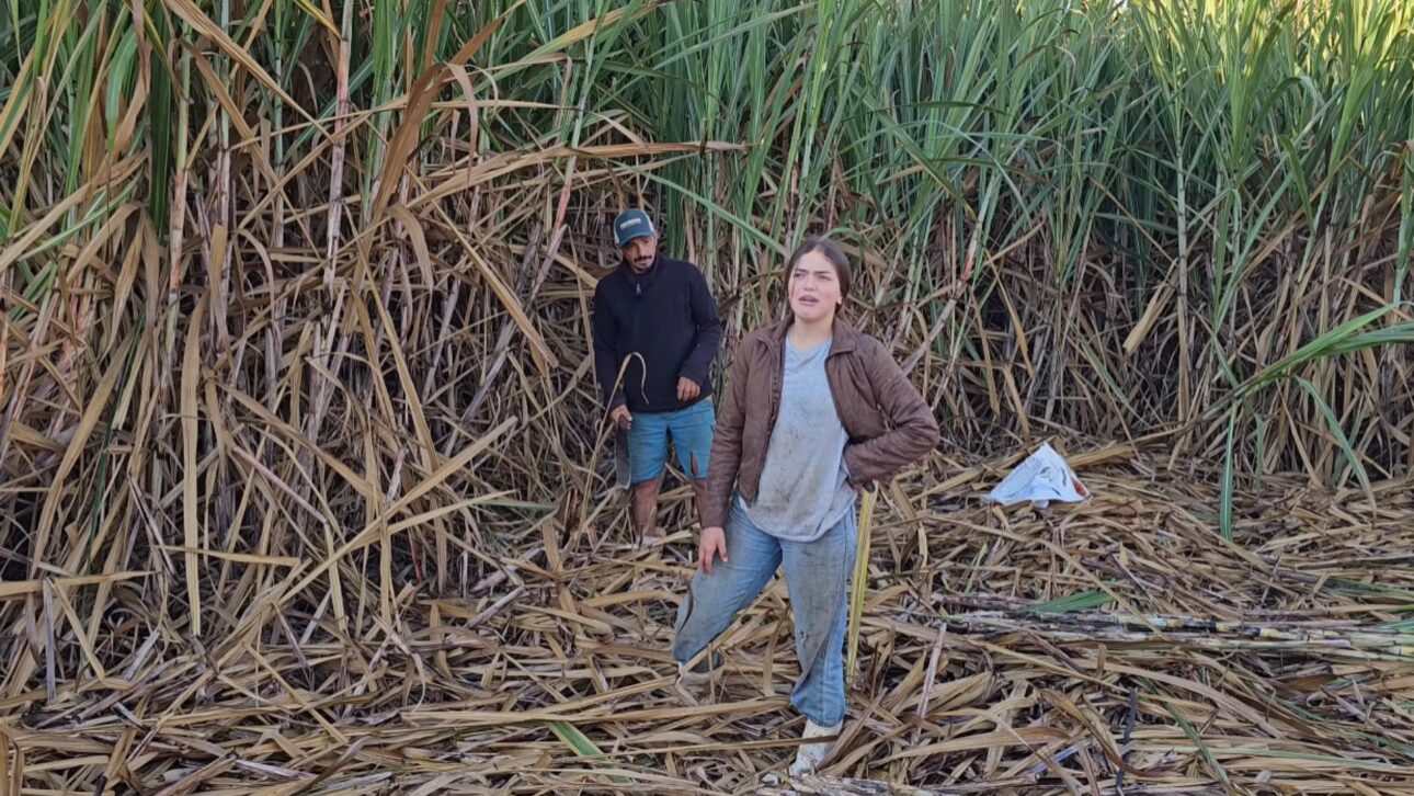 At 17, Andressa exchanged city life for life in the countryside on a farm in Minas Gerais, where she takes care of 15,000 fish in aquaculture and other animals with her father.