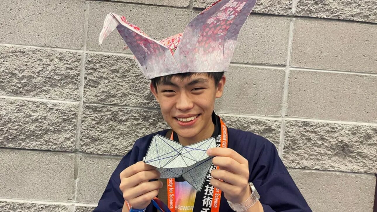 Hikaru Kuribayashi usa seu chapéu de origami enquanto exibe sua asa de joaninha de papel, meticulosamente dobrada, que abre e fecha exatamente como uma joaninha de verdade.
imagem: KG Carpinteiro