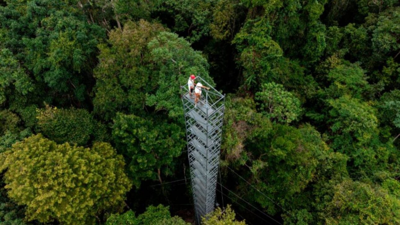 Torre com 20 metros de altura monitora a área de 56 hectares em Capitão Poço - Crédito: Marcio Nagano