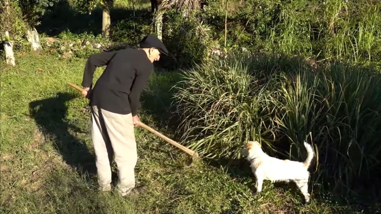 Aos 94 anos, Seu Luiz começa o dia cedo e não larga a enxada nem o trabalho na roça