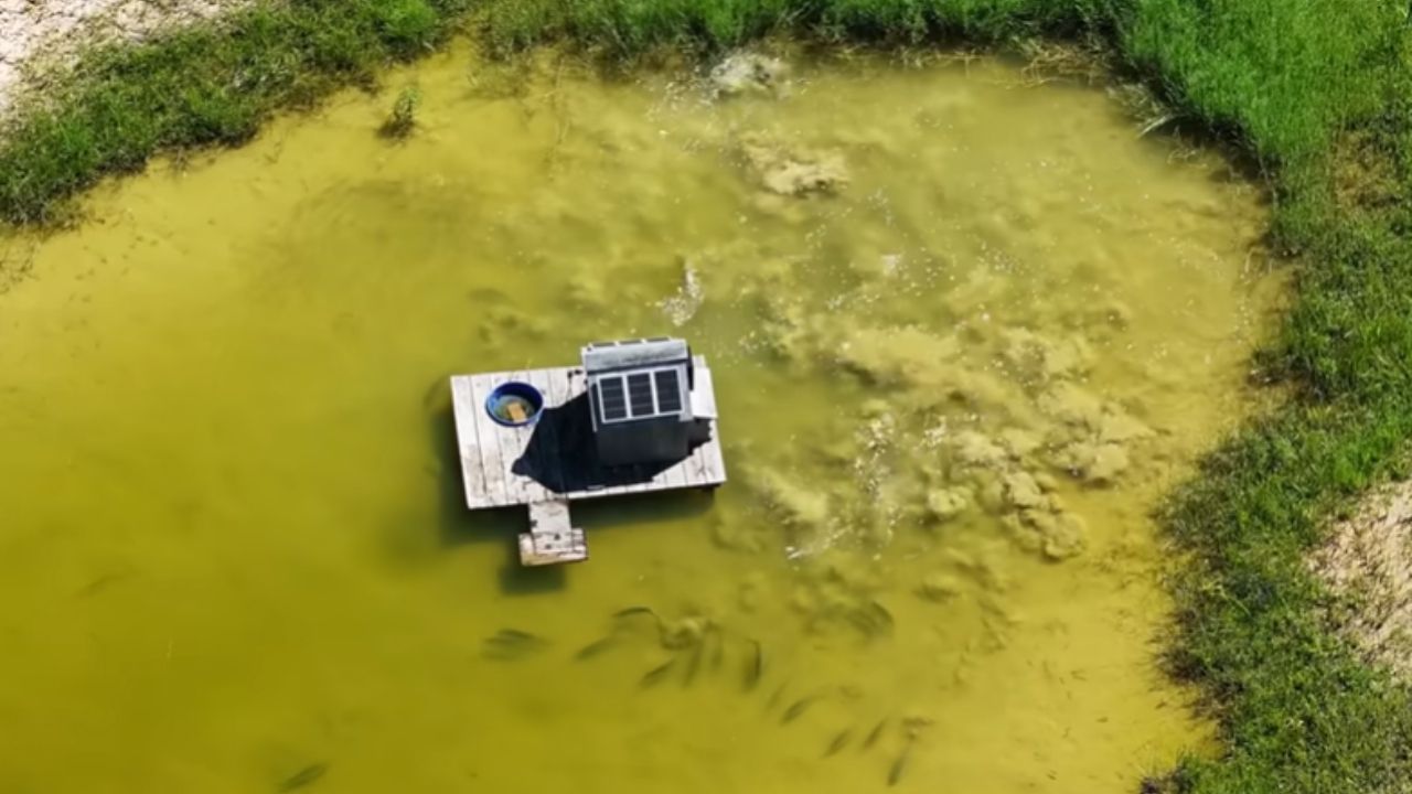 Novo lago em fazenda terá rio artificial, teto retrátil e ilhas em projeto rural do BamaBass, com foco em obra e paisagem.