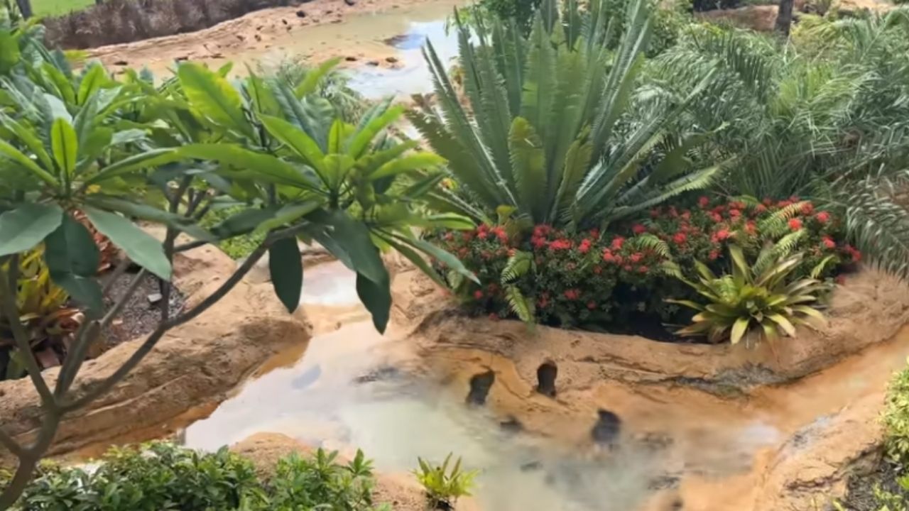 Novo lago em fazenda terá rio artificial, teto retrátil e ilhas em projeto rural do BamaBass, com foco em obra e paisagem.