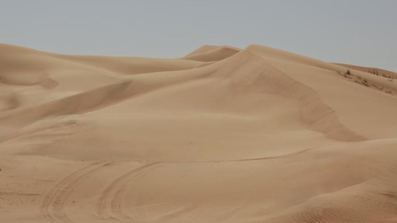 With desert sand, eco-friendly bricks use industrial ash, reduce Portland cement, and aim for industrial production.