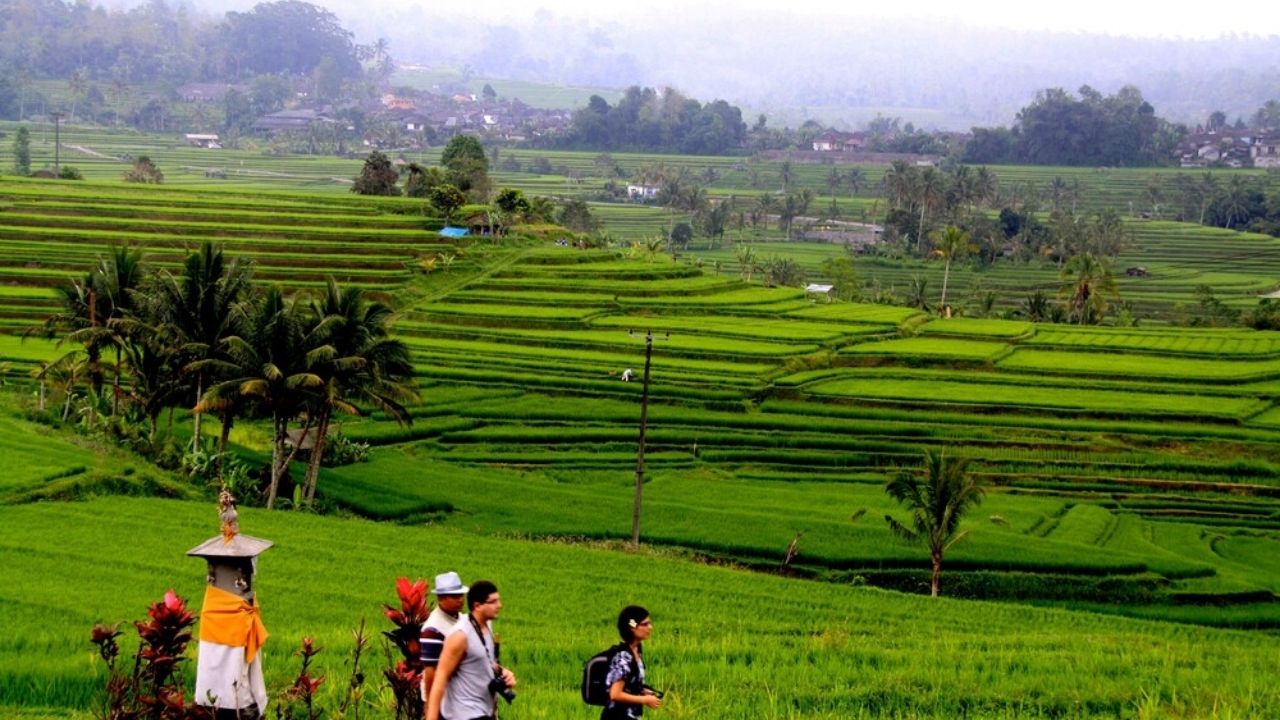 Rice terraces in Bali have a subak system, water temples, and UNESCO's warning about tourism and constructions.