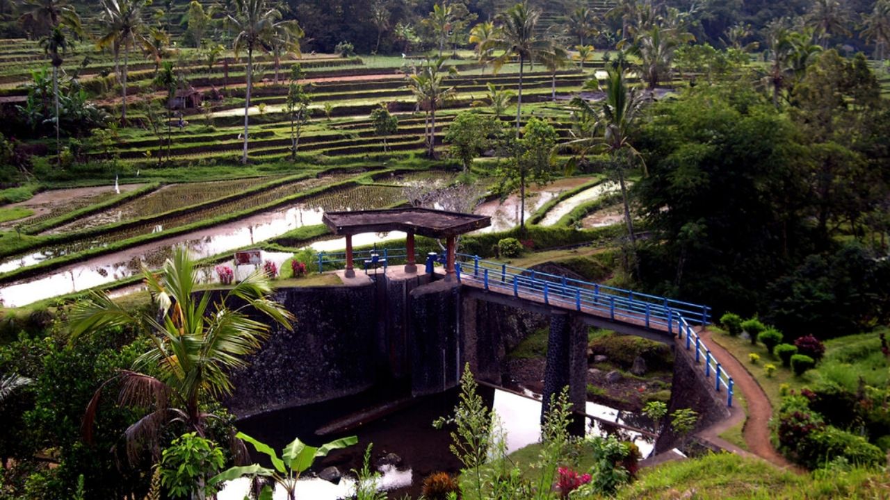 Rice terraces in Bali have a subak system, water temples, and a UNESCO warning about tourism and constructions.