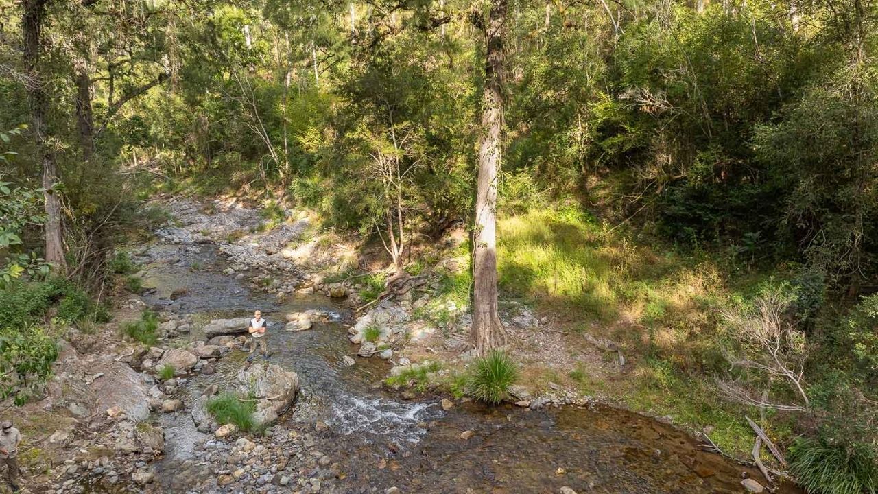 Fazenda de Mike Grgic na Austrália vira reserva natural para proteger floresta histórica e recuperar pastagens degradadas.