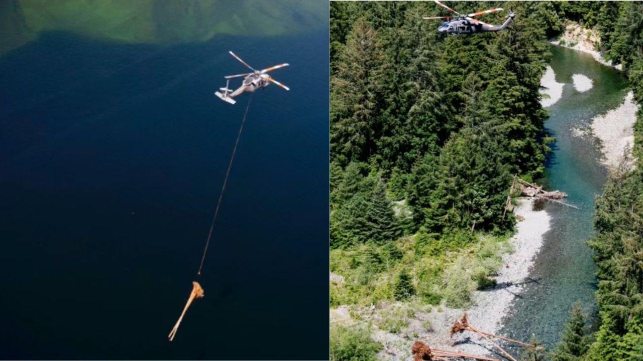 Black Hawk leva troncos inteiros a rios degradados em restauração fluvial após exploração industrial.