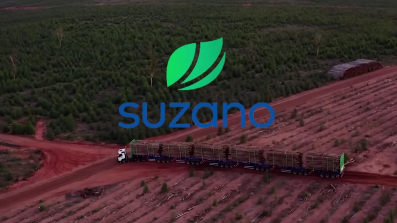 Caminhão Volvo FMX de 540 cavalos puxa o hexatrem da Suzano com até 200 toneladas de eucalipto em Três Lagoas, fora das rodovias pelo limite de 74 toneladas.