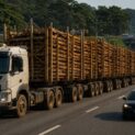 Caminhão Volvo FMX de 540 cavalos puxa o hexatrem da Suzano com até 200 toneladas de eucalipto em Três Lagoas, fora das rodovias pelo limite de 74 toneladas.