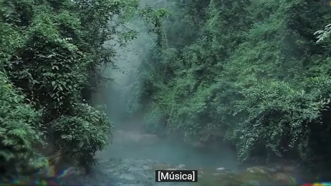 Rio fervente na Amazônia
