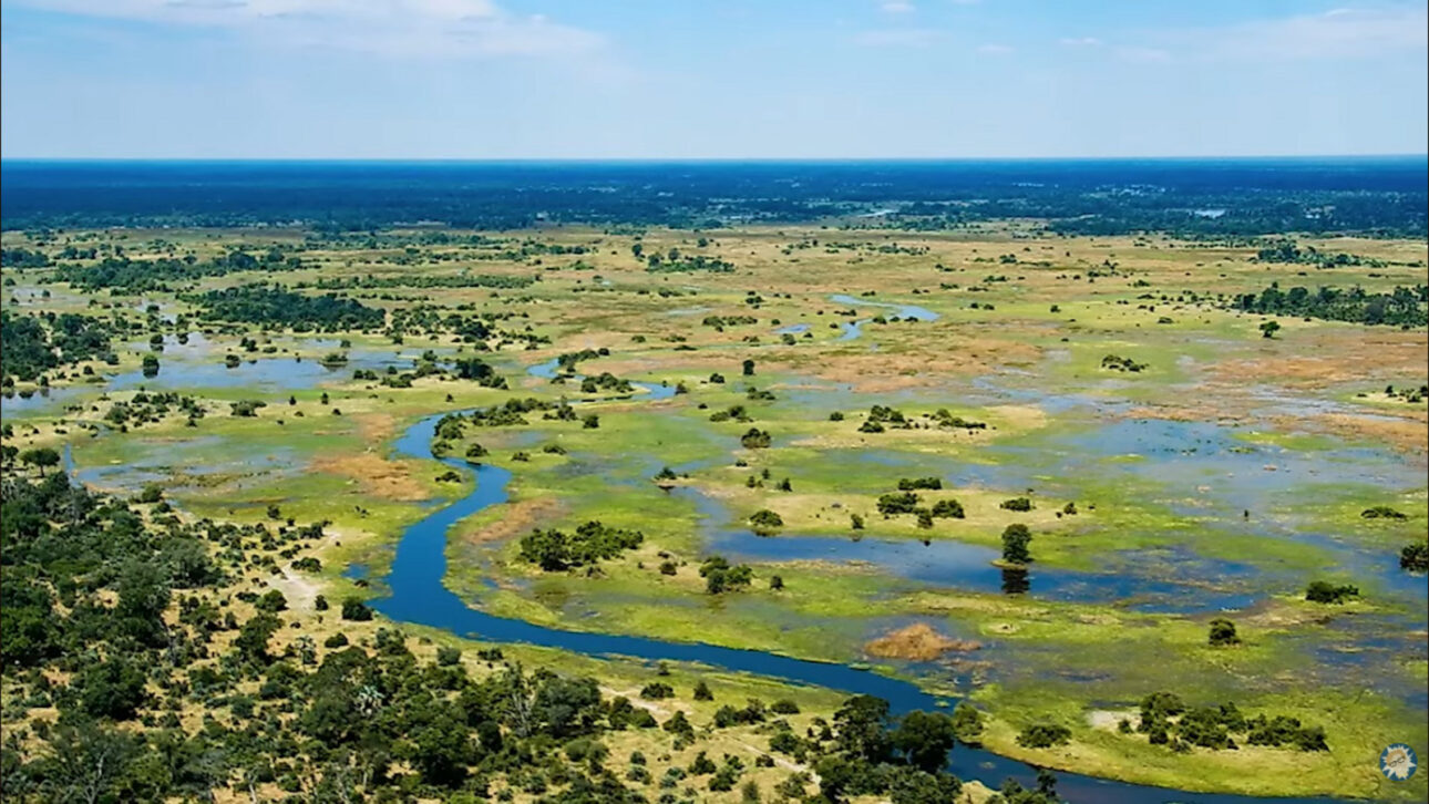 Okavango, o rio que desaparece no meio do deserto, não chega ao oceano e transforma areia seca em vida na África
