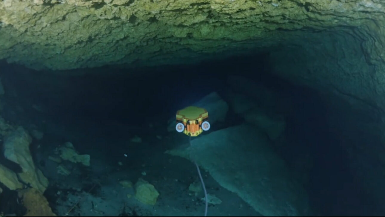 Hidden beneath a small entrance in Namibia, the world's largest underground lake is nearly the size of two football fields, 264 meters deep, and even hosts rare animals that survive without sunlight