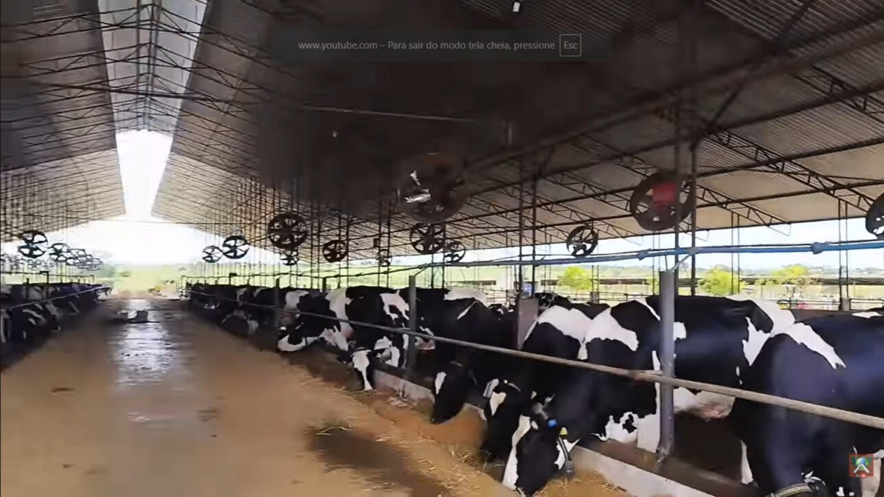Fazenda Avelan se adapta a seca Nordeste