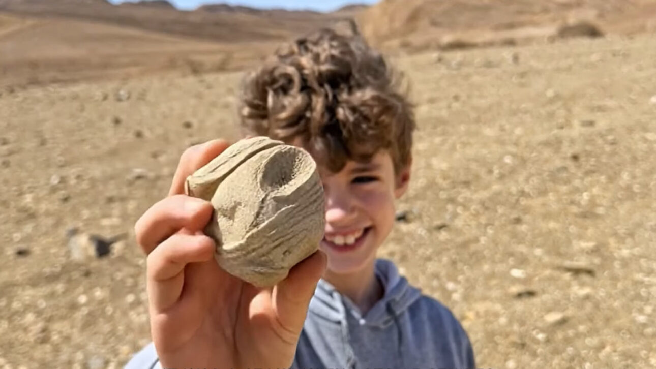 Menino de 8 anos achado estatueta rara