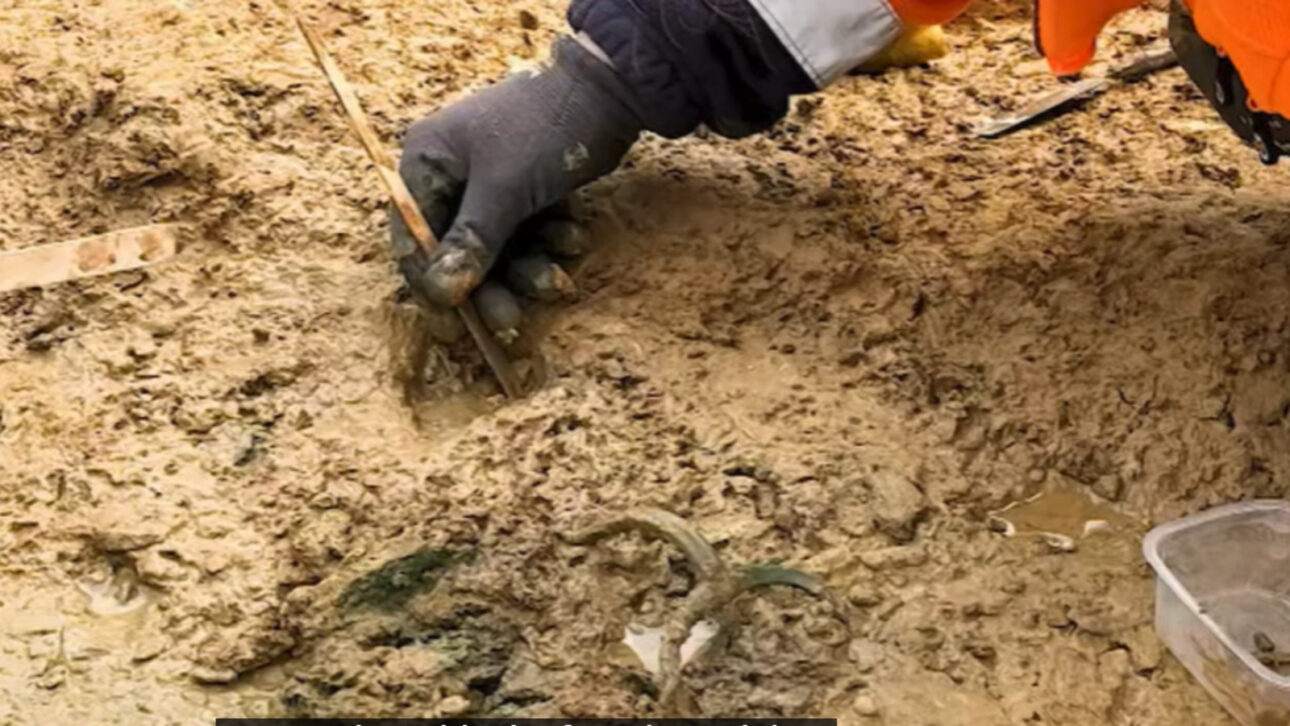 Arqueólogos encontram na Alemanha um raro túmulo celta da Idade do Ferro com joias de ouro, armas e carroça de duas rodas, revelado durante obras de um parque solar em Hessen