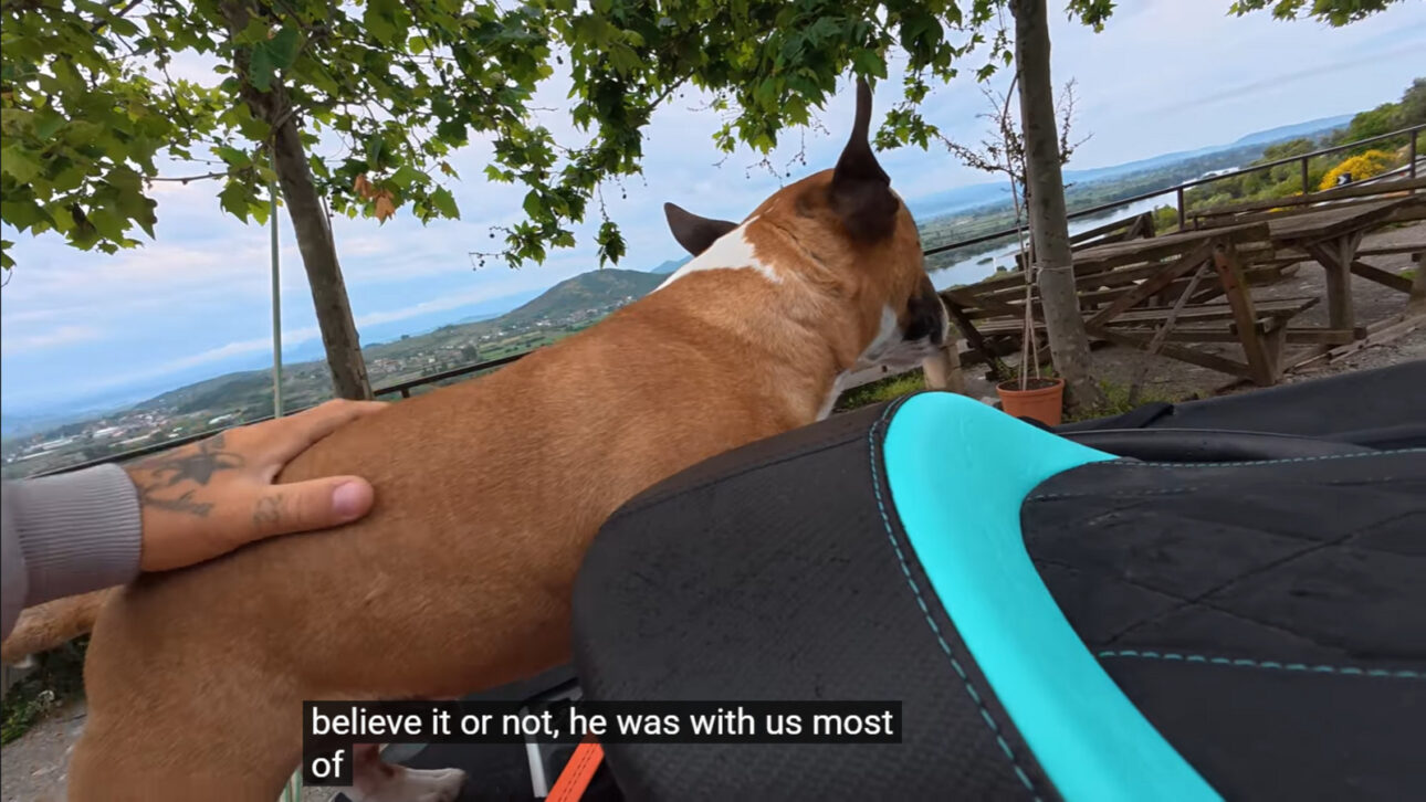 Alemão larga a vida convencional, compra uma moto aquática, sai pelo rio Danúbio com a namorada e o cachorro, cruza mais de 13 países em 6 meses, roda 5 mil km e agora sonha em atravessar o Atlântico