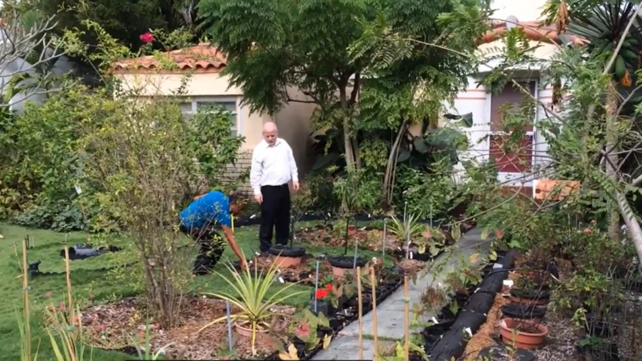 They had been harvesting vegetables in their own front yard for 17 years, but the city hall decided to prohibit the garden