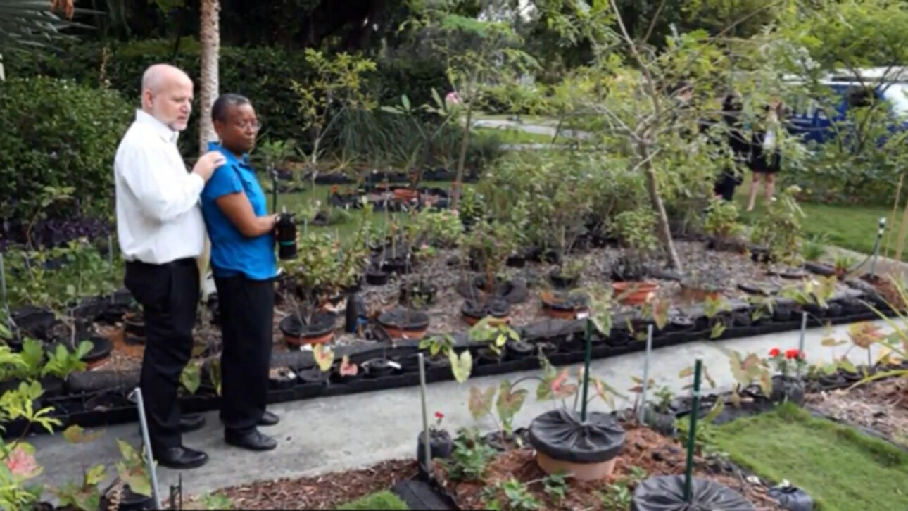 They had been harvesting vegetables in their own front yard for 17 years, but the city council decided to ban the garden