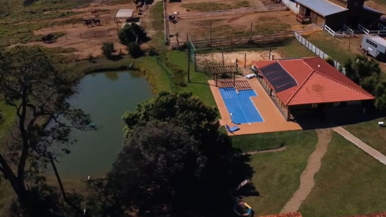Avicultura no Rancho BF vira granja com aviários climatizados, apoio da Seara e plano de expansão no interior paulista.