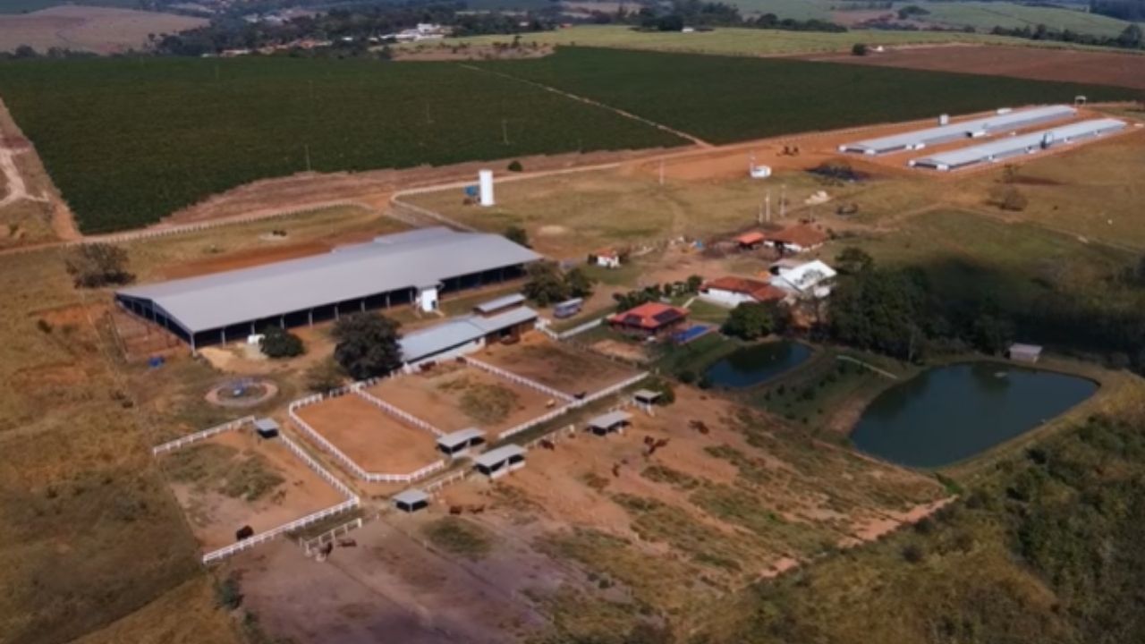 Avicultura no Rancho BF vira granja com aviários climatizados, apoio da Seara e plano de expansão no interior paulista.