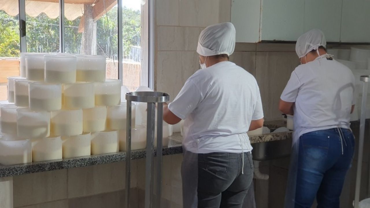 Queso artesanal en Alexânia gana producción mayor tras Senar apoyar quesería familiar con técnica, leche y gestión en el campo.