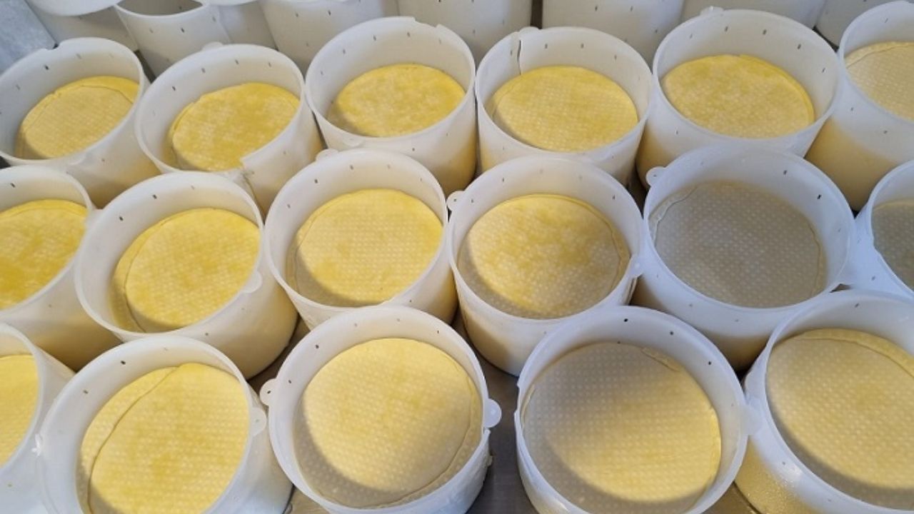 Queso artesanal en Alexânia gana producción mayor tras Senar apoyar quesería familiar con técnica, leche y gestión en el campo.