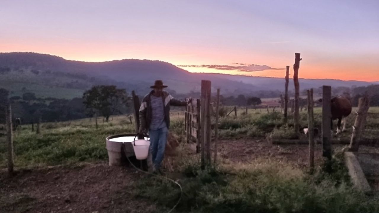 Queijo artesanal em Alexânia gana producción mayor tras Senar apoyar quesería familiar con técnica, leche y gestión en el campo.