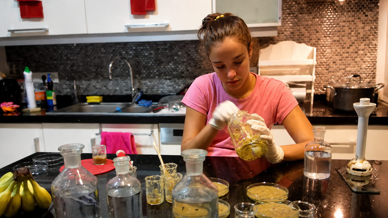 Casca de banana deixou de ser lixo e virou matéria prima em laboratório